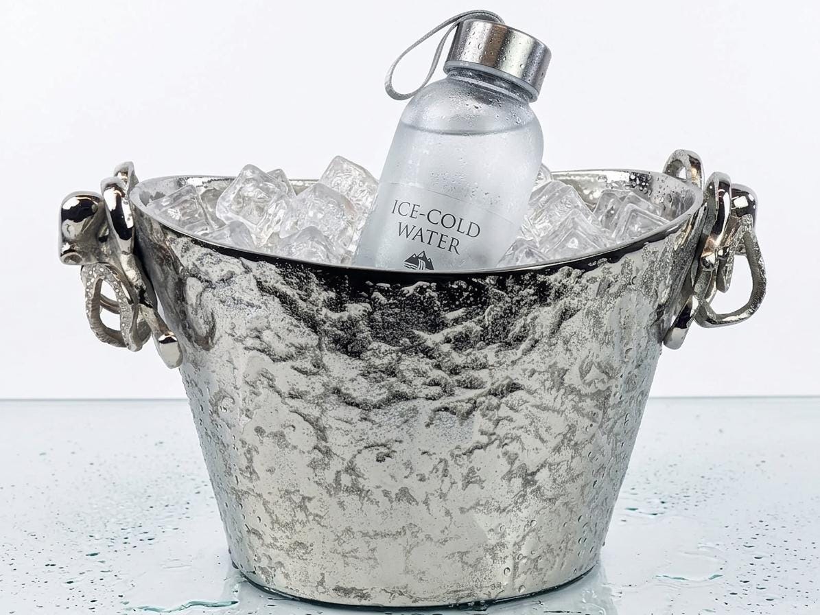 Octopus Handle Aluminum Ice Bucket | Coastal Barware Silver Plated Champagne Bucket